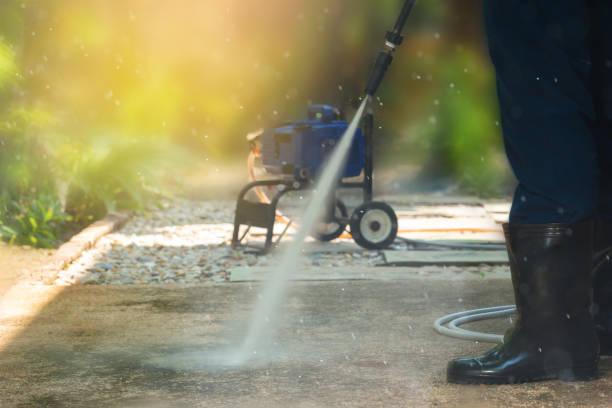 Animal Enclosure Cleaning in St Martin, MS